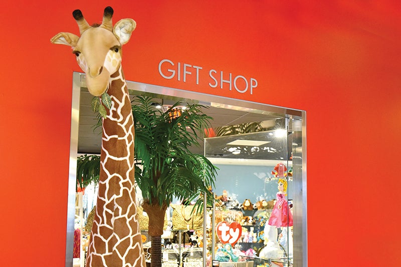 gift shop