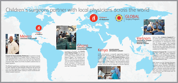 Global Surgery Program Map Small