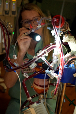 ECMO image