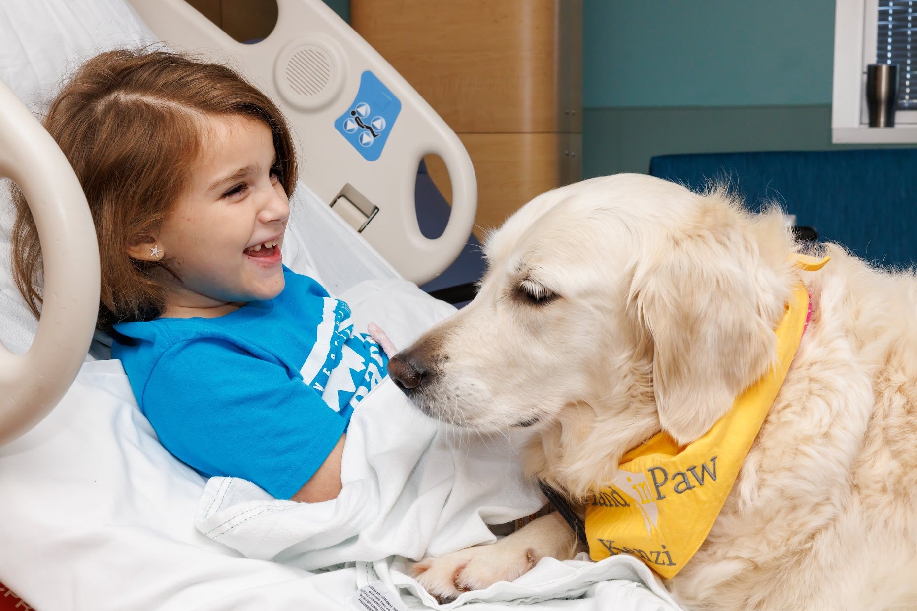hand and paw